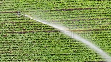农业概念。 空中<strong>自动</strong>灌溉<strong>系统</strong>。